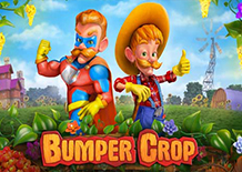 Слот Bumper Crop бесплатно