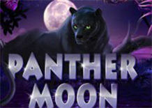 Игровой автомат Panther Moon бесплатно